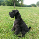 assur.1