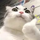 vemme