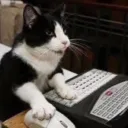 digitalmeowmix