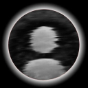 coook0446's Avatar