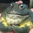 sportnix#0640's avatar