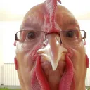 wilson_csm