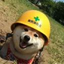 veggiecorndog