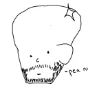 haydenharrison