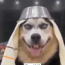 F