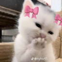 avatar notyourangel._.