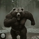 ours_du_fracas