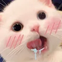shouyou