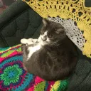 hugs__