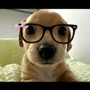 pdx21s_35923's Avatar