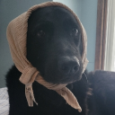 vtmatt#6325's avatar