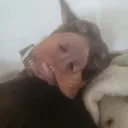 drowseee