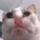 notmartha