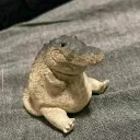 brungix