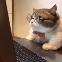 professormath_