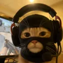 emperor_of_cats_yt_87435