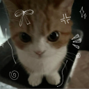 kiwi.the.cat avatar