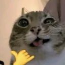c_oach