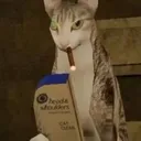 yufi
