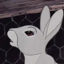negativemaya