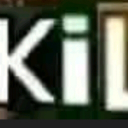 Ikan