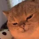 [Jѕтк] Lnør