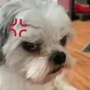 xiwangmuling
