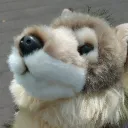 skyewolf.