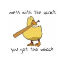 quacks5535