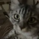 sleepysprojectofficial
