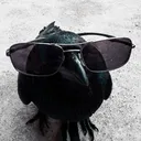 Crow