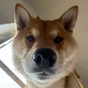 wanderb