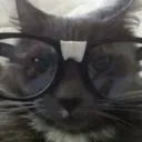 granndpa avatar