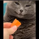 noxbonanl