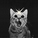 onnullnull#0