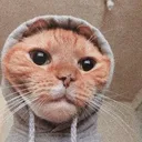 catguy_21