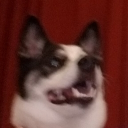 im_weeaboo_trash#9335's avatar