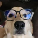 senpai.bc