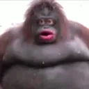 chonke_monke