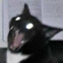 avatar A
