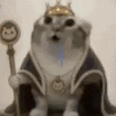 avatar A