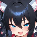 cid_vrc