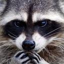 WealthyRacoon's avatar