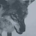 0xhkox