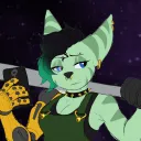 sylvamy