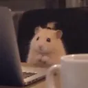 miaomiao