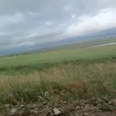 tigerzhang1004