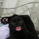 7 hằng đẳng thức đáng nhớ's avatar
