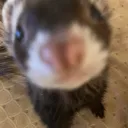 thisisnotbyte