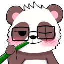 realpandacoder